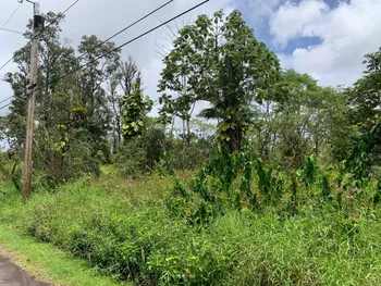 commercial listing image