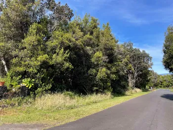 commercial listing image