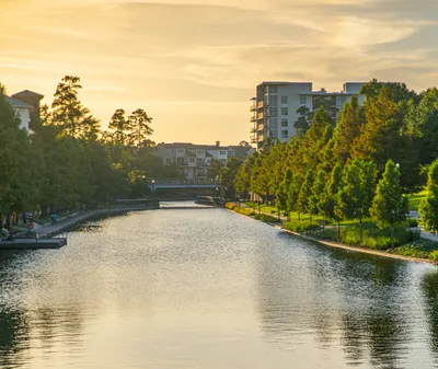 The Woodlands