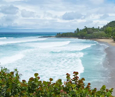 Rincon