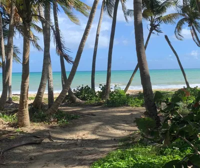 Humacao