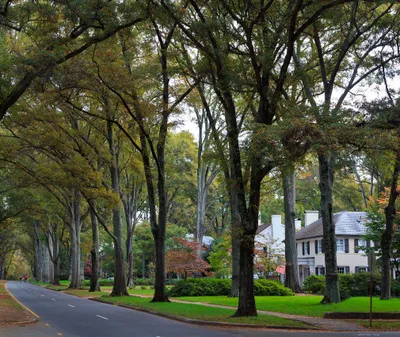 Eastover/Myers Park