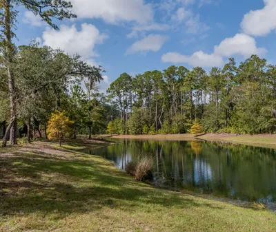 Skidaway Island and The Landings
