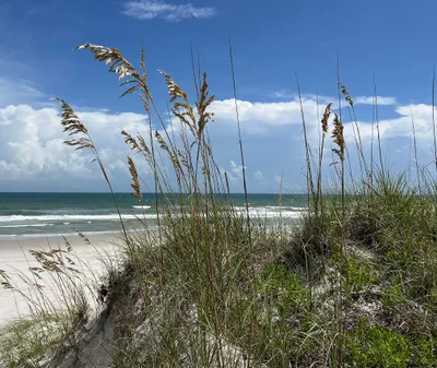Figure Eight Island