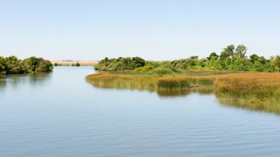 Bethel Island