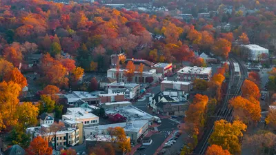 Maplewood