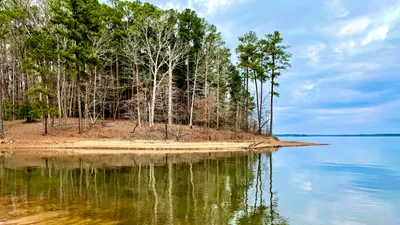 Chatham County 