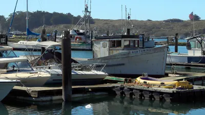 Bodega Bay