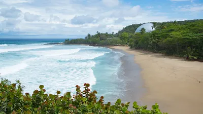 Rincon