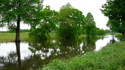 Bear Creek Village