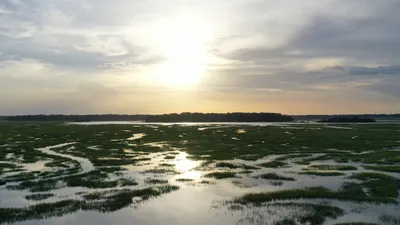 Southside Savannah