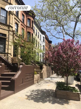 Homes for sale in Brooklyn | View 659 Putnam Avenue, 1 | 1 Bed, 1 Bath