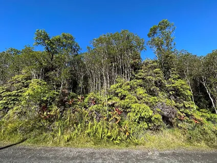 Homes for sale in Volcano | View ROAD 8