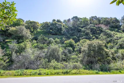 Homes for sale in San Rafael | View 110 Sunny Oaks Drive