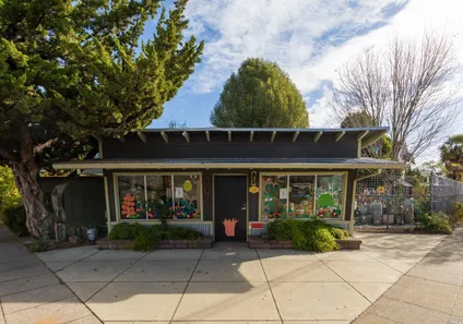 Homes for sale in Petaluma | View 301 Wilson Street