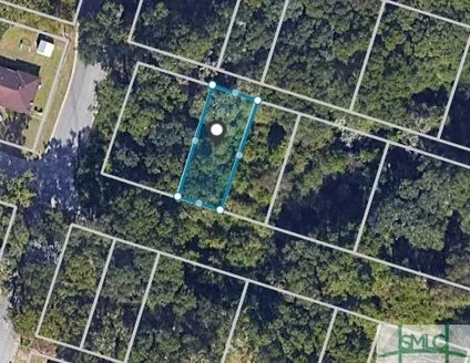 Homes for sale in Savannah | View 00 Adel Street