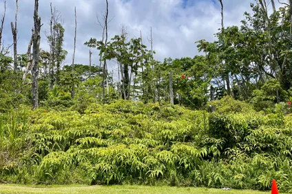 Homes for sale in Pahoa | View Kupono St