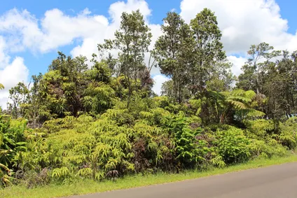 Homes for sale in Volcano | View Nahelenani St