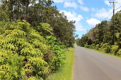 Homes for sale in Volcano | View Nahelenani St