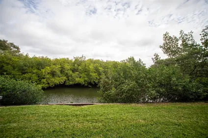 Homes for sale in Clearwater | View 900 Cove Cay Drive, 1D | 2 Beds, 2 Baths