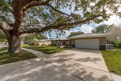 Homes for sale in Clearwater | View 2265 Grovewood Road | 3 Beds, 2 Baths
