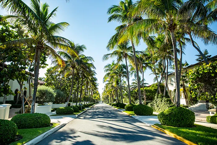 neighborhood main image Palm Beach
