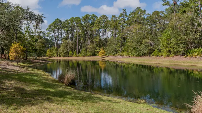 neighborhood main image Skidaway Island and The Landings