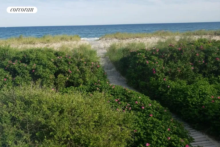 New York City Real Estate | View 1335 Flying Point Road | roses on the dune | View 23