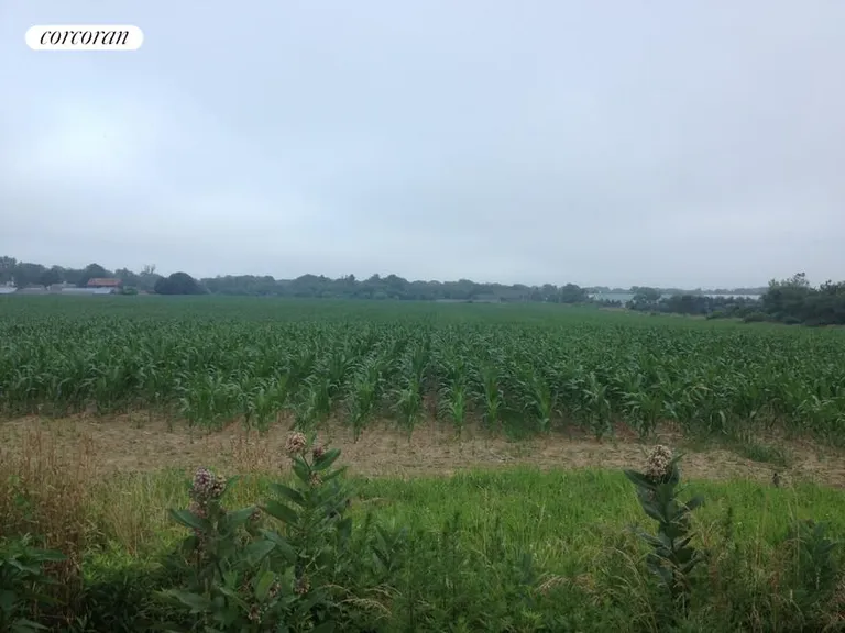 New York City Real Estate | View  | Forever Farm Views!! | View 2