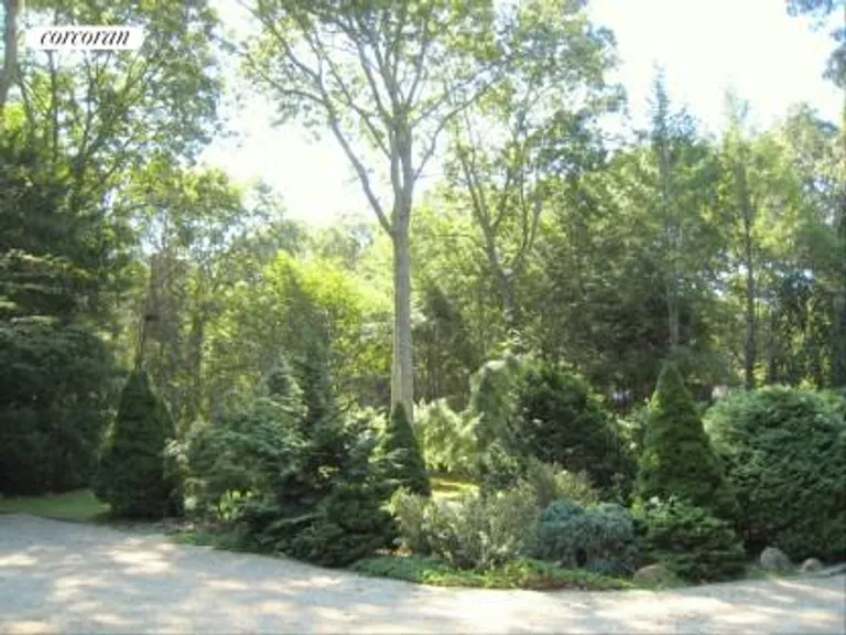 New York City Real Estate | View  | Specimen Trees | View 14