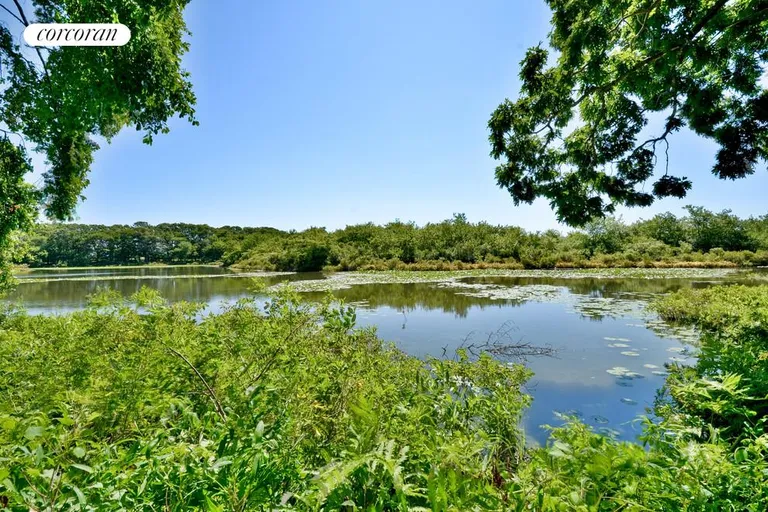 New York City Real Estate | View  | Mill Pond | View 11