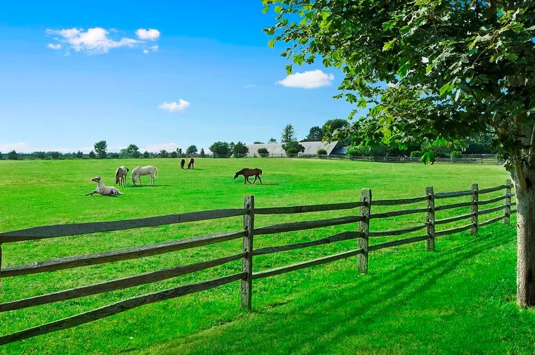 New York City Real Estate | View  | Horse Farm Views | View 3