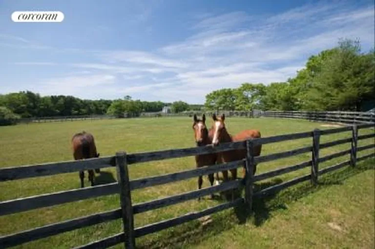 New York City Real Estate | View  | Horse farm area | View 7