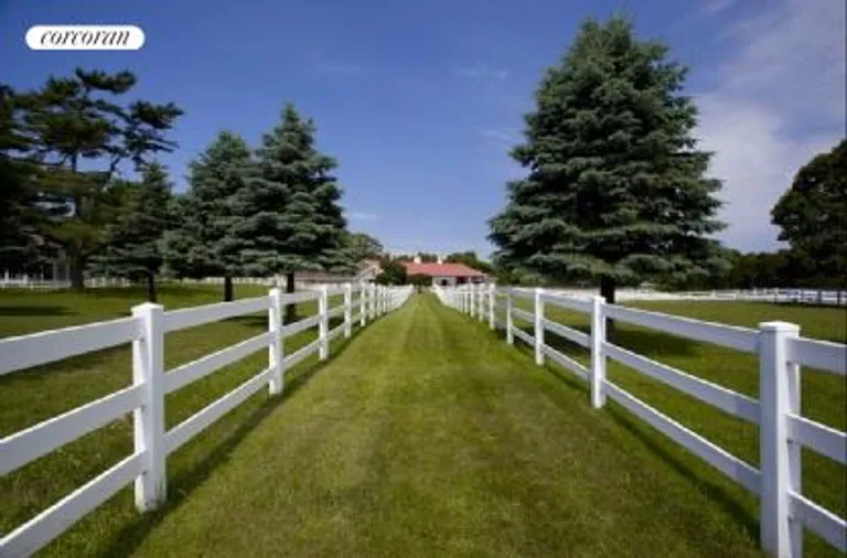 New York City Real Estate | View  | green horse paddocks | View 15