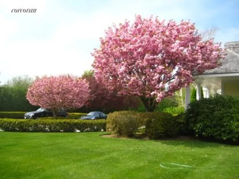 New York City Real Estate | View  | Trees In Bloom | View 20