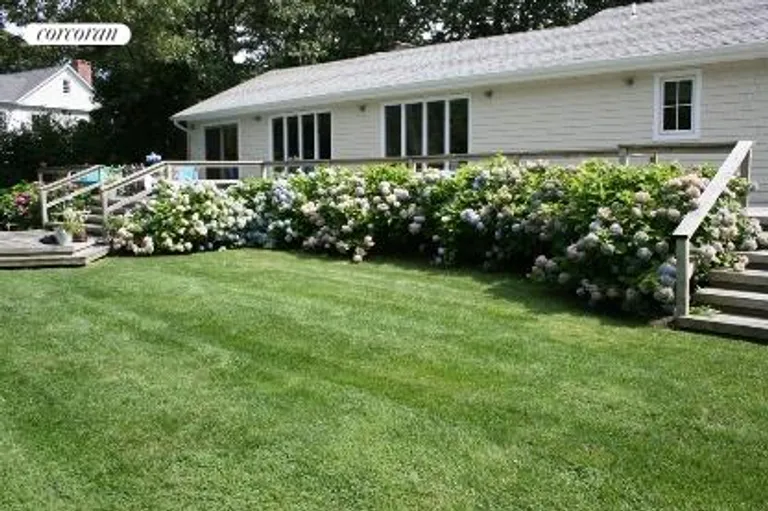 New York City Real Estate | View  | Hydrangeas in bloom all summer long | View 7
