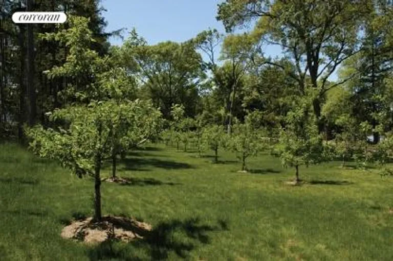 New York City Real Estate | View  | beautiful orchards | View 23