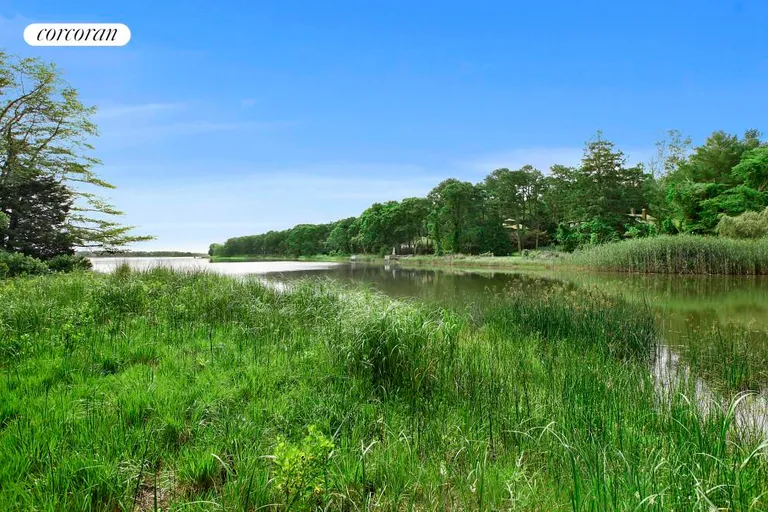 New York City Real Estate | View  | Pond | View 2