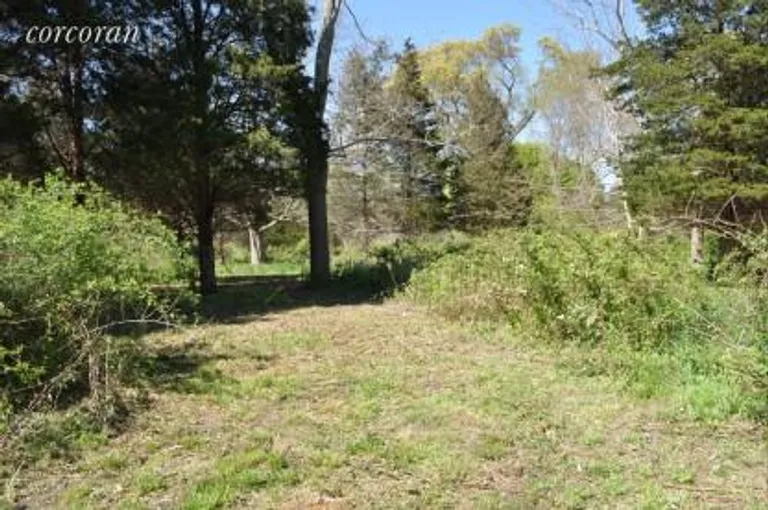 New York City Real Estate | View 148A North Ferry Road | Level one acre lot | View 4