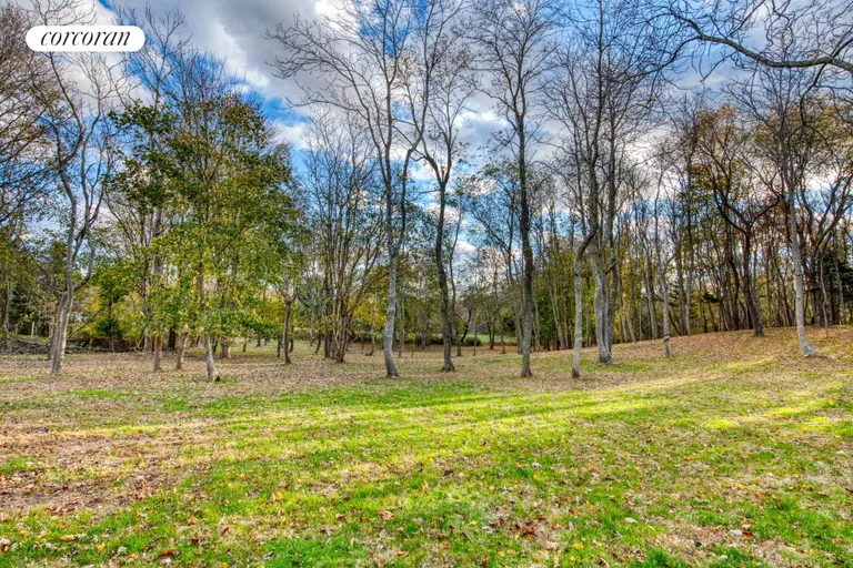 New York City Real Estate | View 151 North Ferry Road | Expansive lawns and woods | View 29