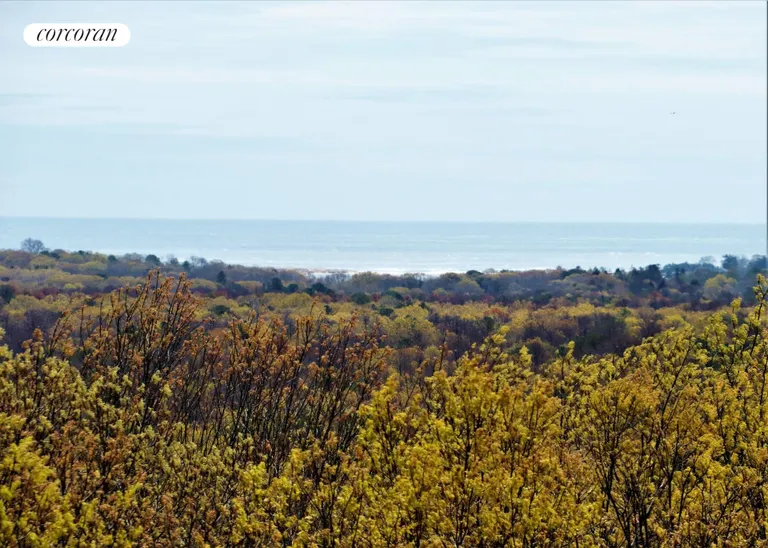 New York City Real Estate | View 216 Two Holes of Water Road | view from deck | View 8