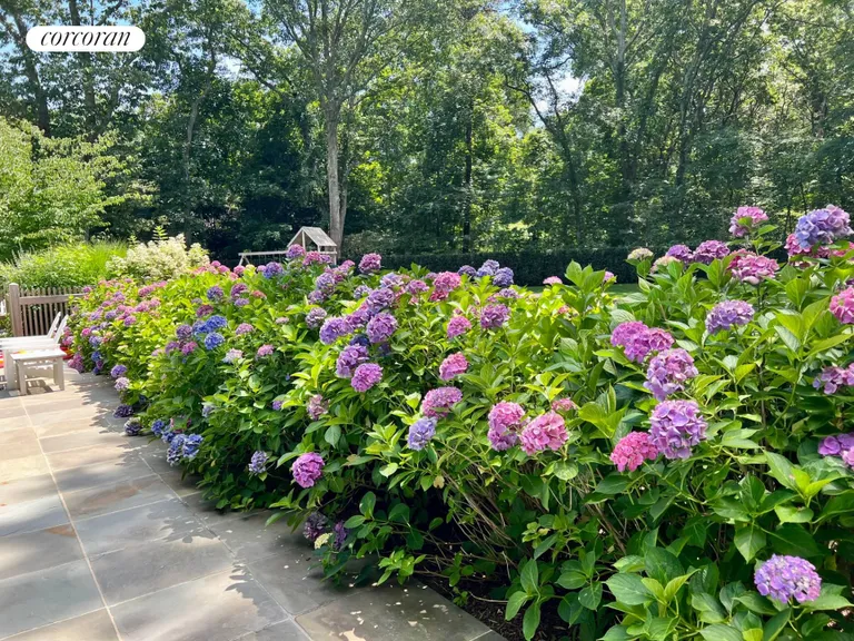 New York City Real Estate | View 22 Glenwood Lane | Gorgeous flowers by the pool | View 33
