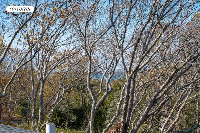 The Hamptons Real Estate | View 1 Carver Street | room 22 | View 23
