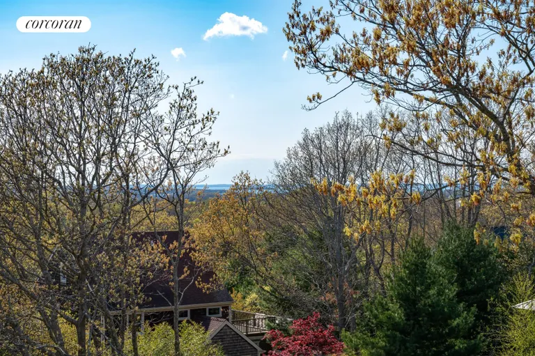 The Hamptons Real Estate | View 1 Carver Street | room 23 | View 24