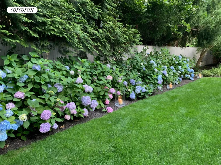 New York City Real Estate | View 10 Wireless Road | Tons of hydrangeas | View 12