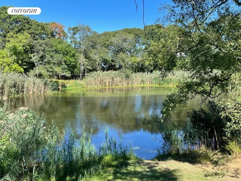 New York City Real Estate | View  | Natural Pond | View 7