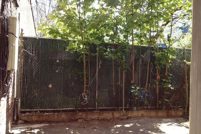 New York City Real Estate | View 293 Tompkins Avenue, 1 | Private backyard | View 4