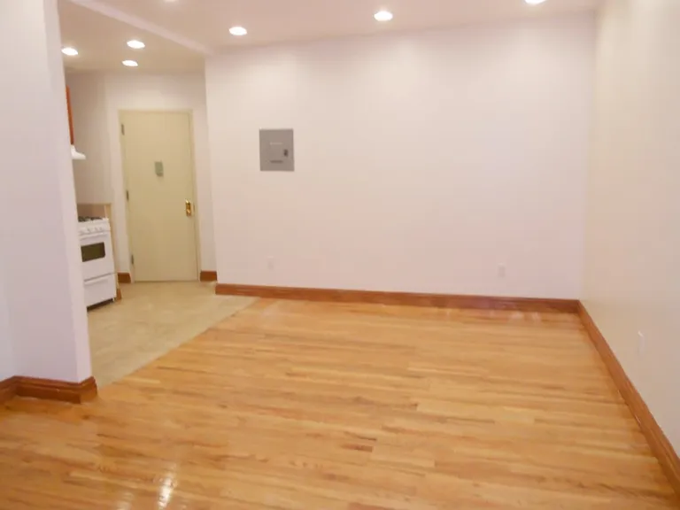 New York City Real Estate | View 535 45th Street, 5A | 3 Beds, 1 Bath | View 1