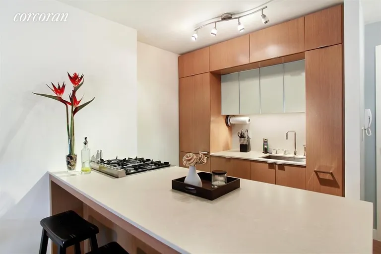New York City Real Estate | View 225 Rector Place, 3K | Pristine Chefs Kitchen | View 2