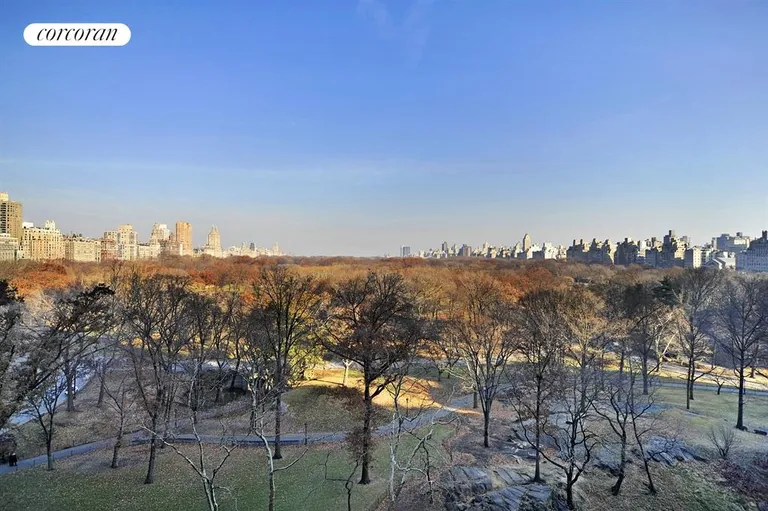 New York City Real Estate | View 160 Central Park South, 915 | View | View 7